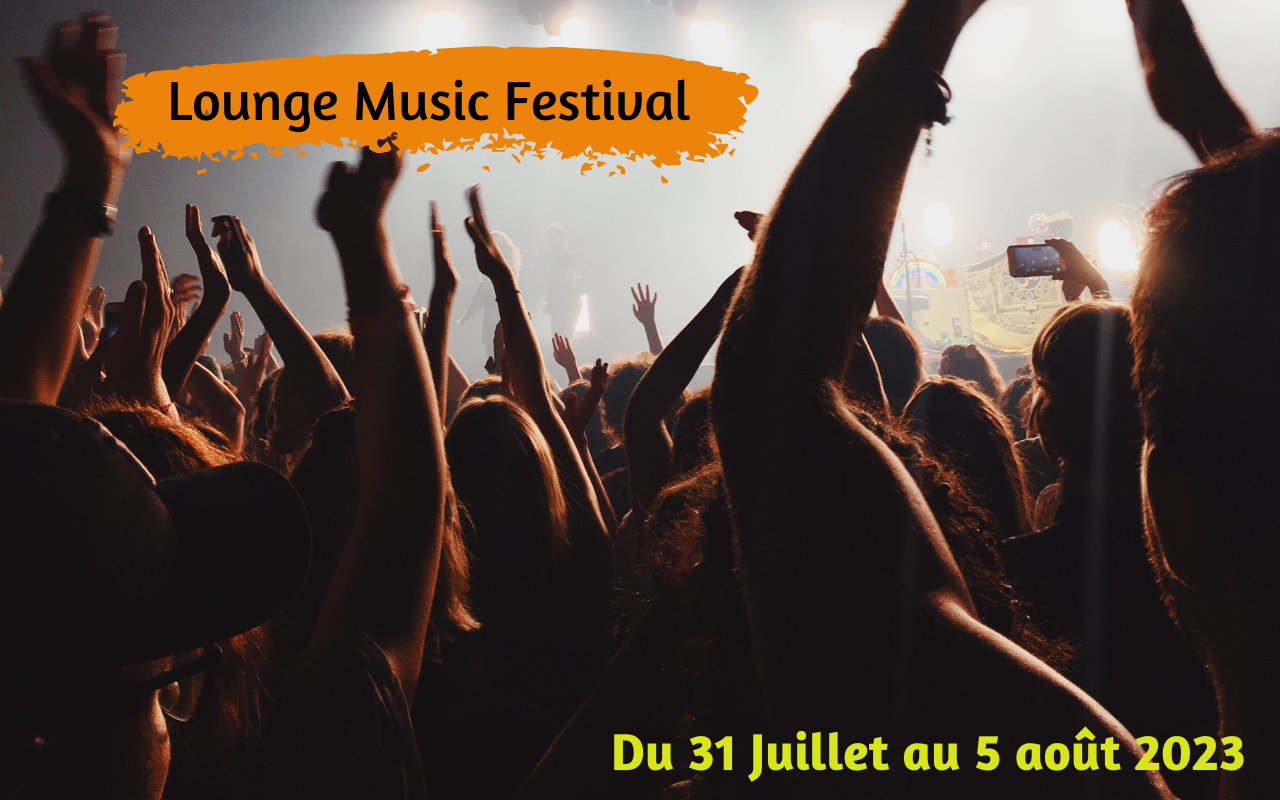 festivalier bras en l'air - Lounge Music Festival